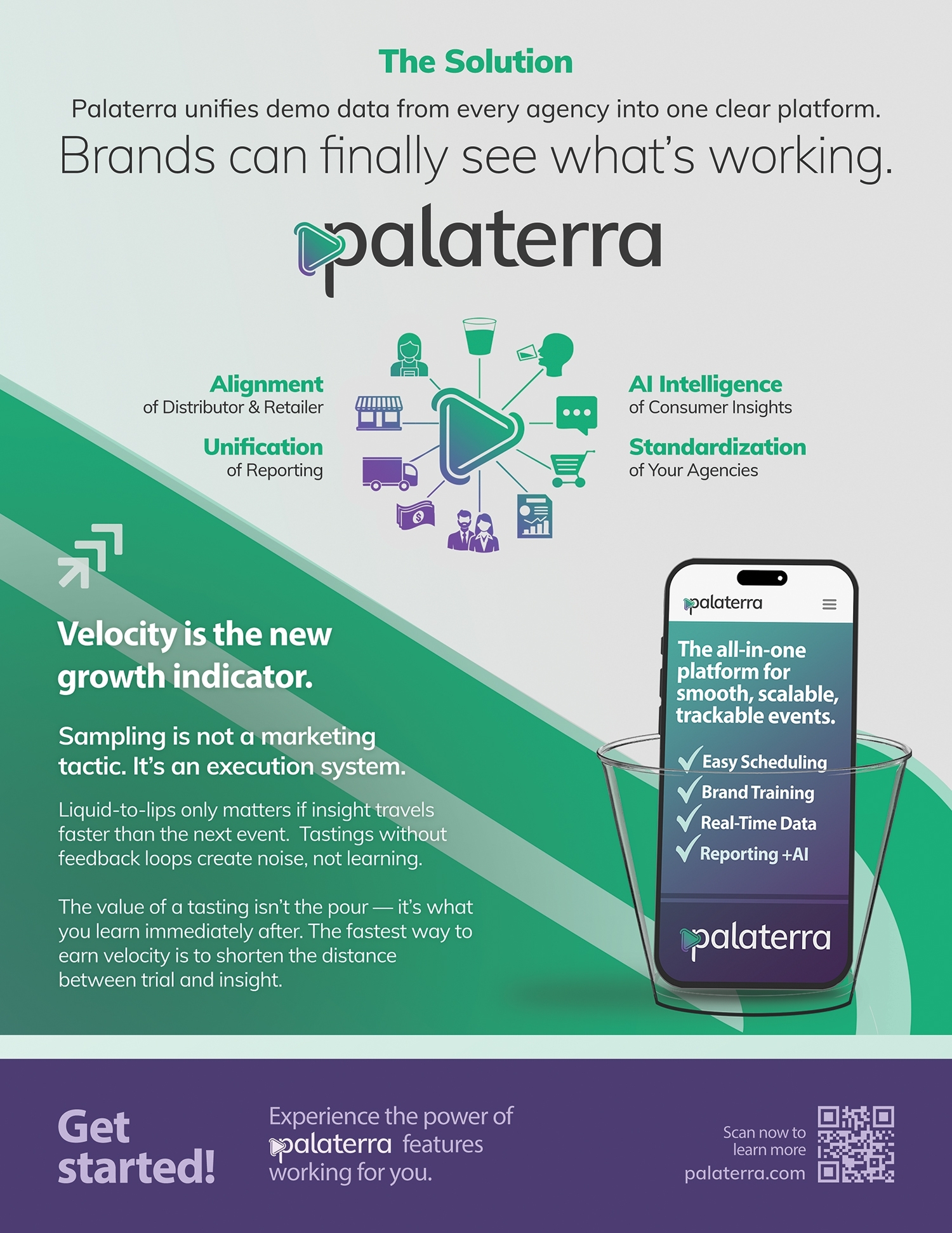 06c Palaterra Problem Solution One Sheet